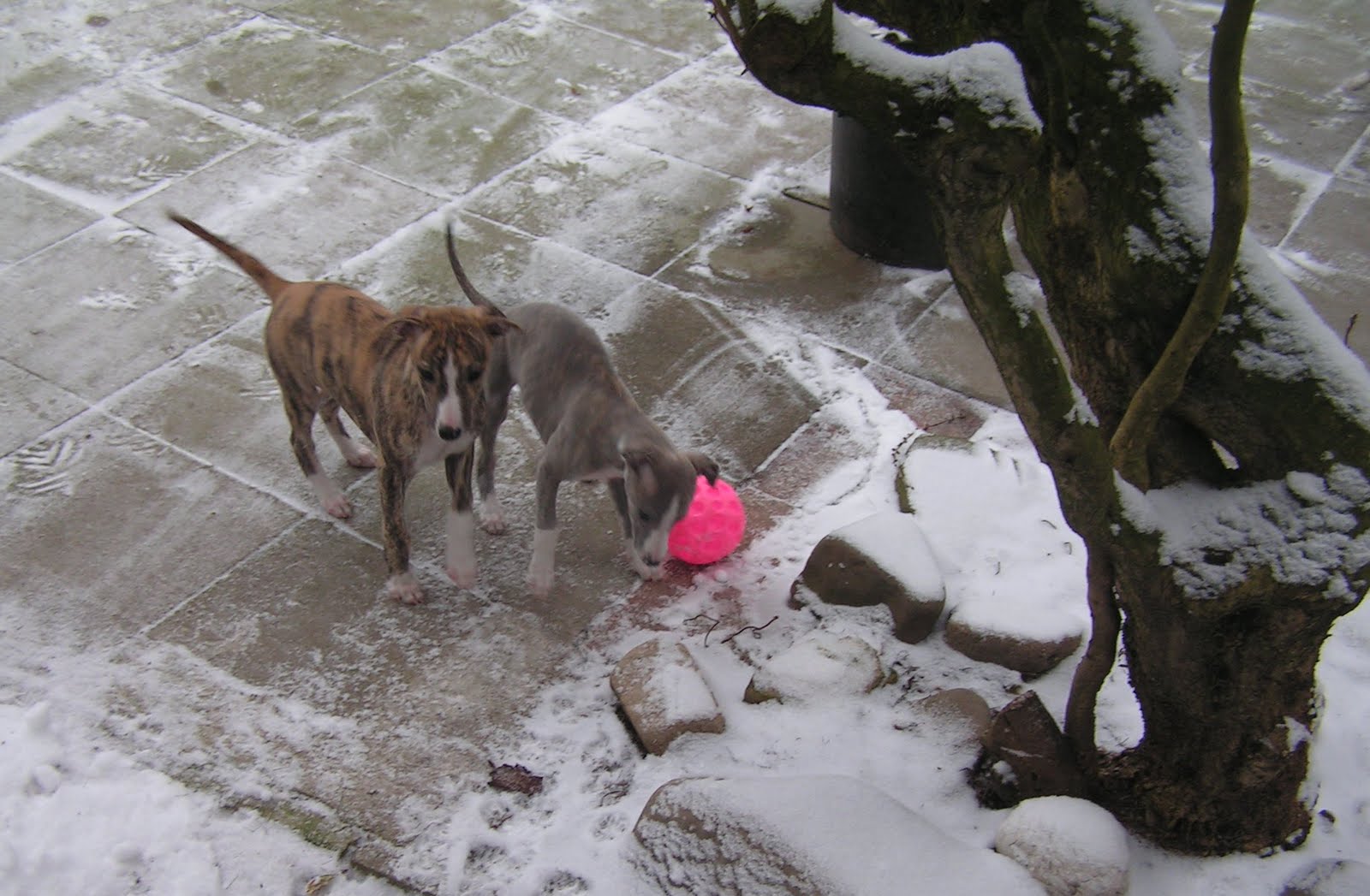 [dicker+++urmel.JPG]