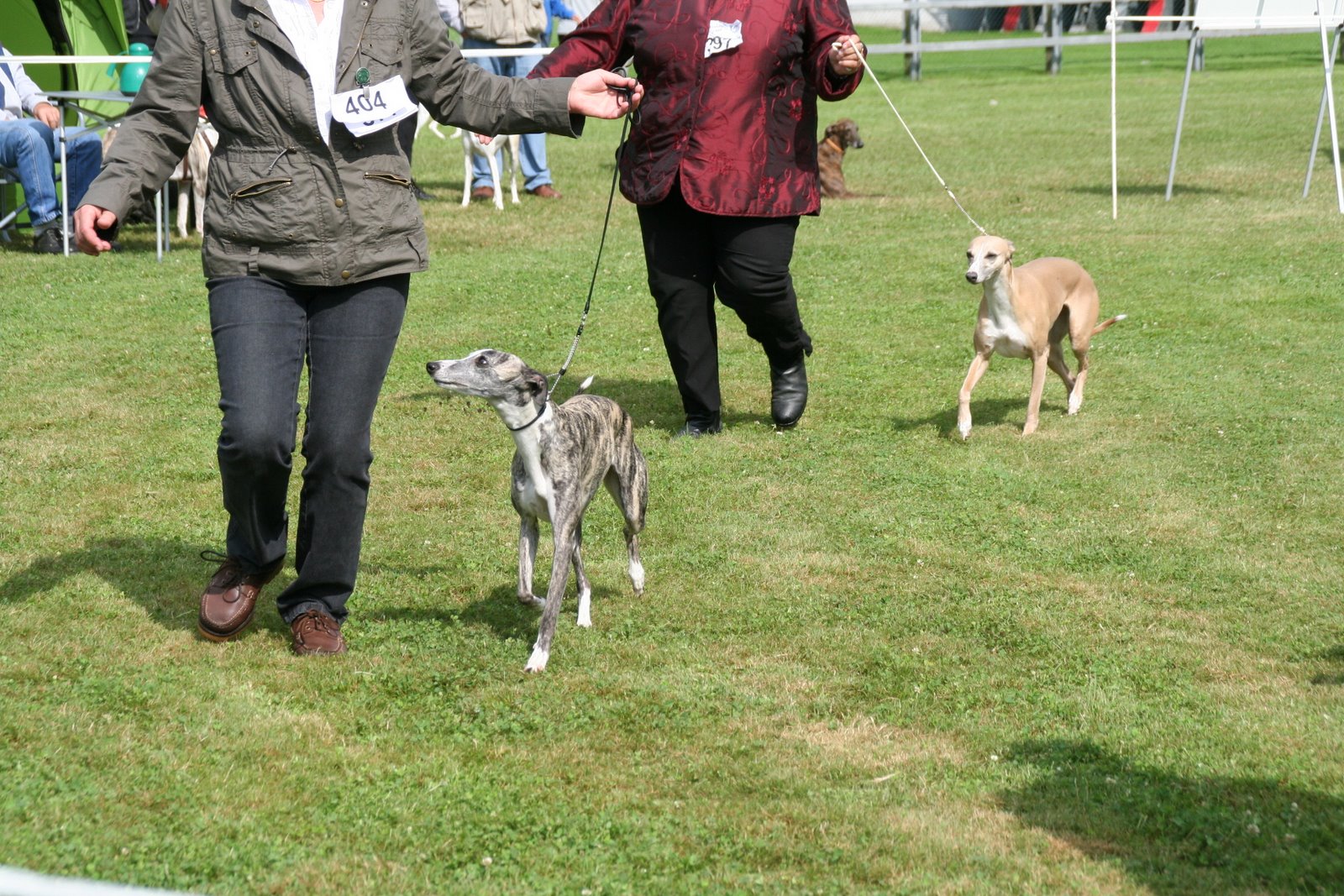 [stechen+verbandssiegerin.JPG]