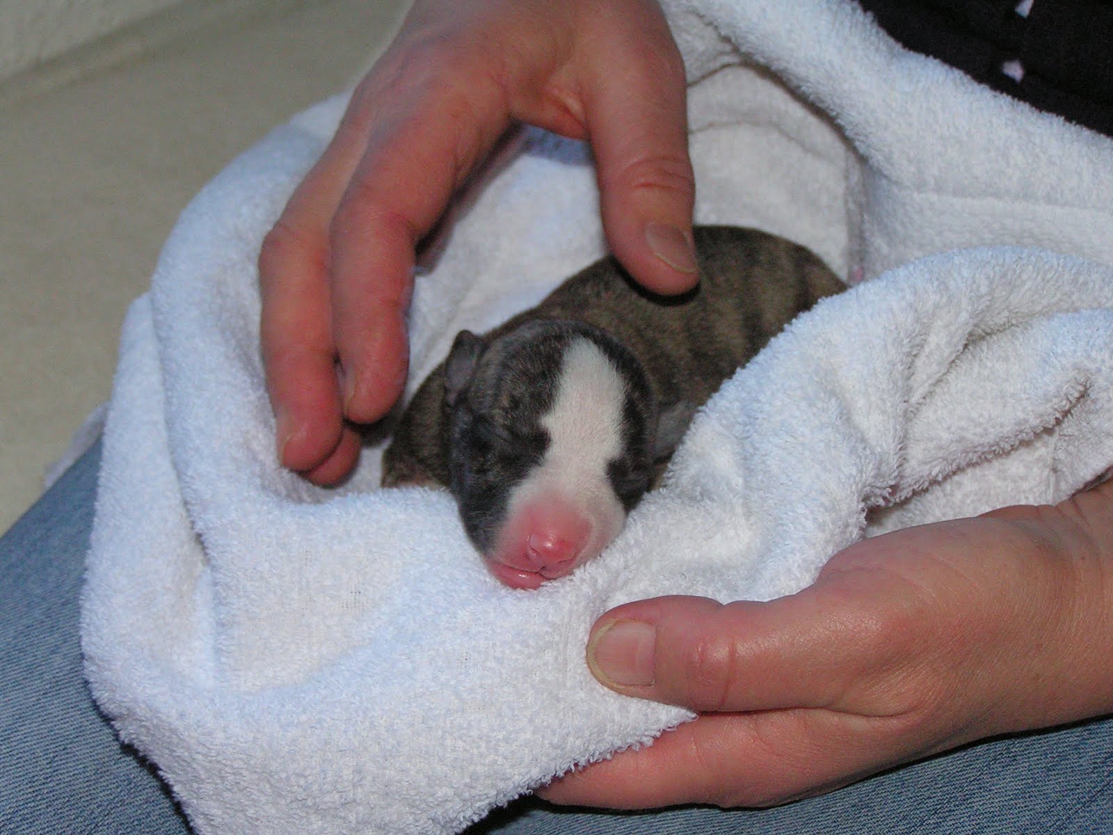 [h.schwarzstrom+b.JPG]