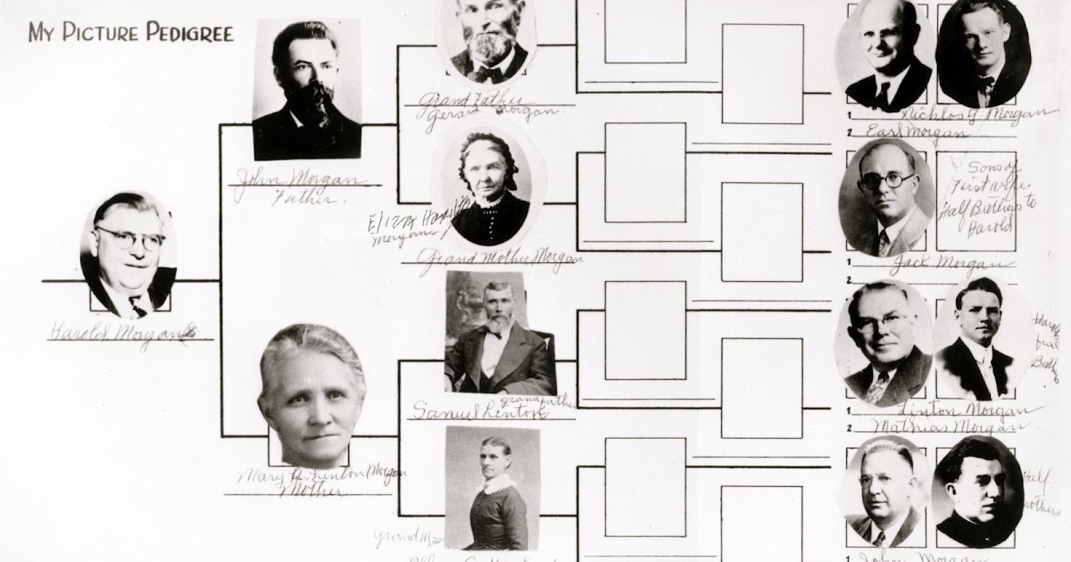 TheAncestorFiles John Children