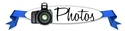 [TAG-Photos.gif]