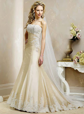 Best Cinderella Dresses Best Cinderella Dresses