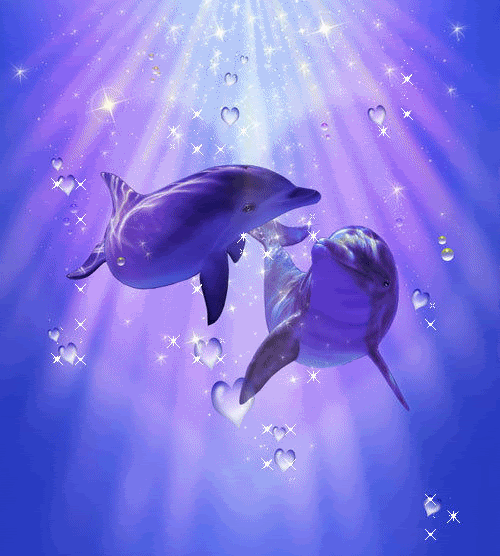 Mi otra pasión