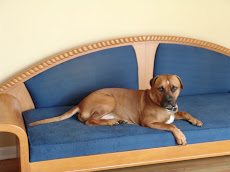 Bruno