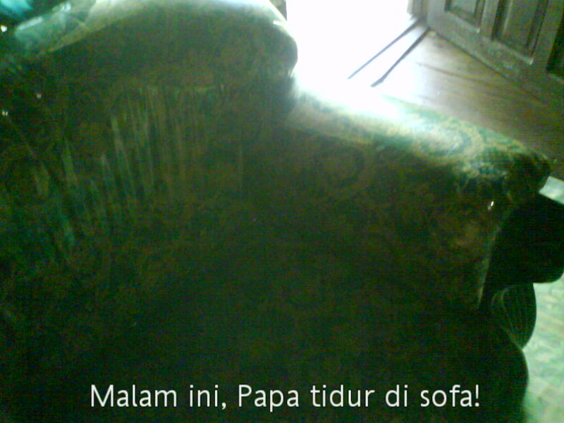 [image-upload-82-732076.jpg]
