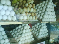 TELUR ASIN BREBES TELUR ASIN BREBES