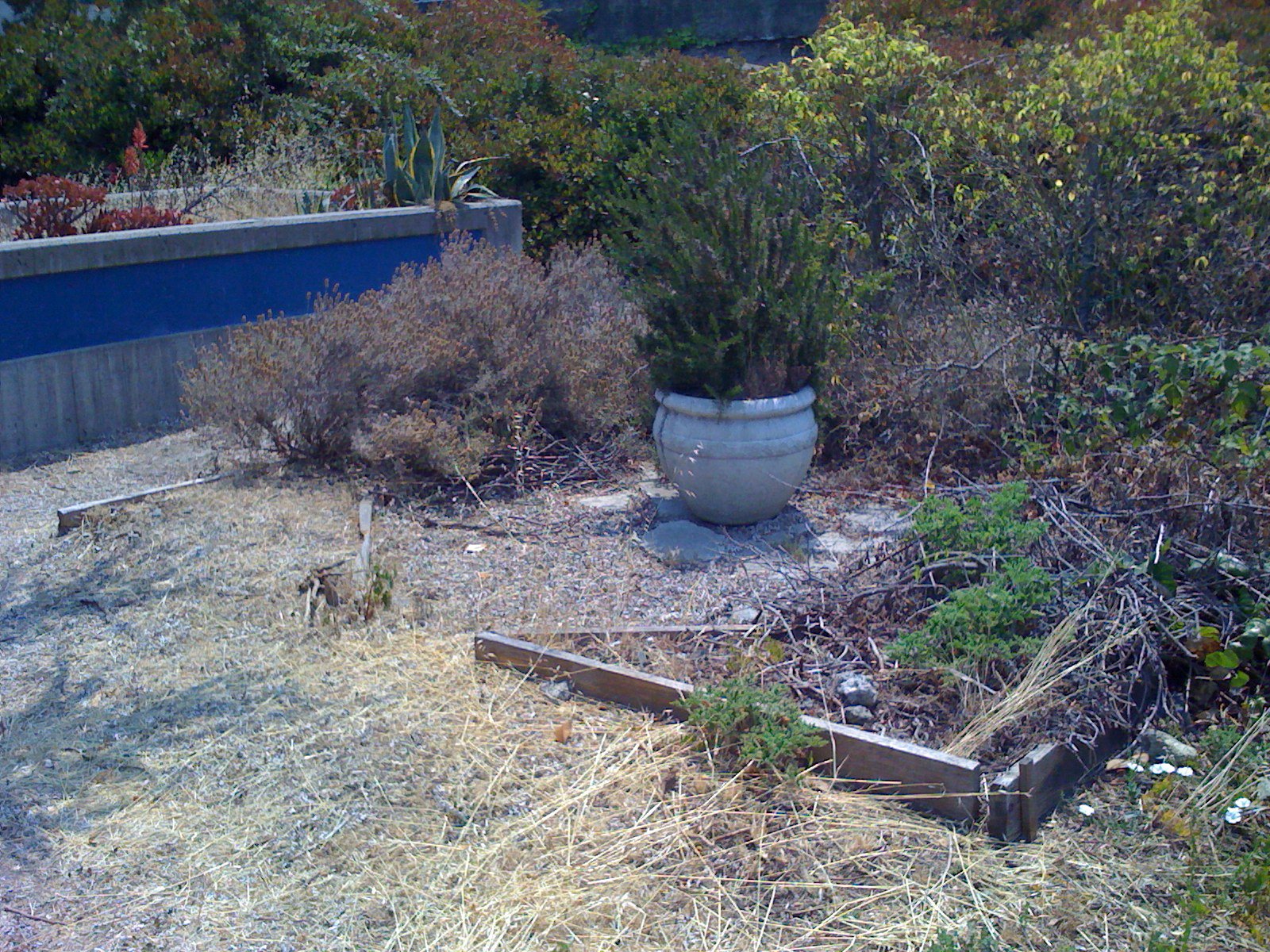 [front_garden_before.JPG]
