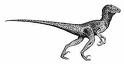 Deinonychus!!!