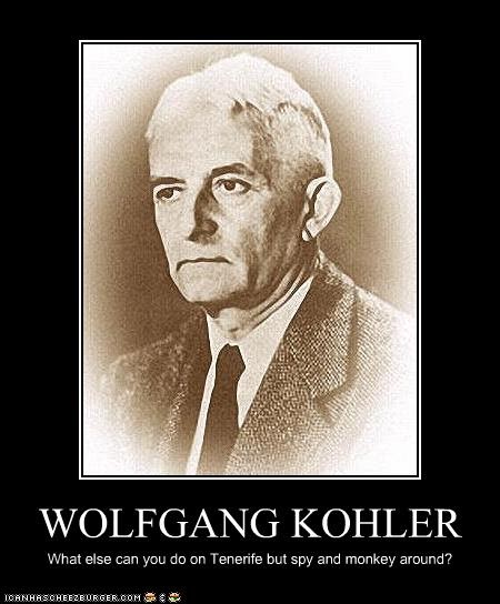 wolfgang kohler Gestalt psychology today1 gestalt psychology today by wolfgang köhler (1959) get any book for free on: wwwabikacom. wolfgang kohler Gestalt psychology today1 gestalt psychology today by wolfgang köhler (1959) get any book for free on: wwwabikacom.