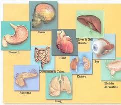 ENHANCEMENT INSTITUTE