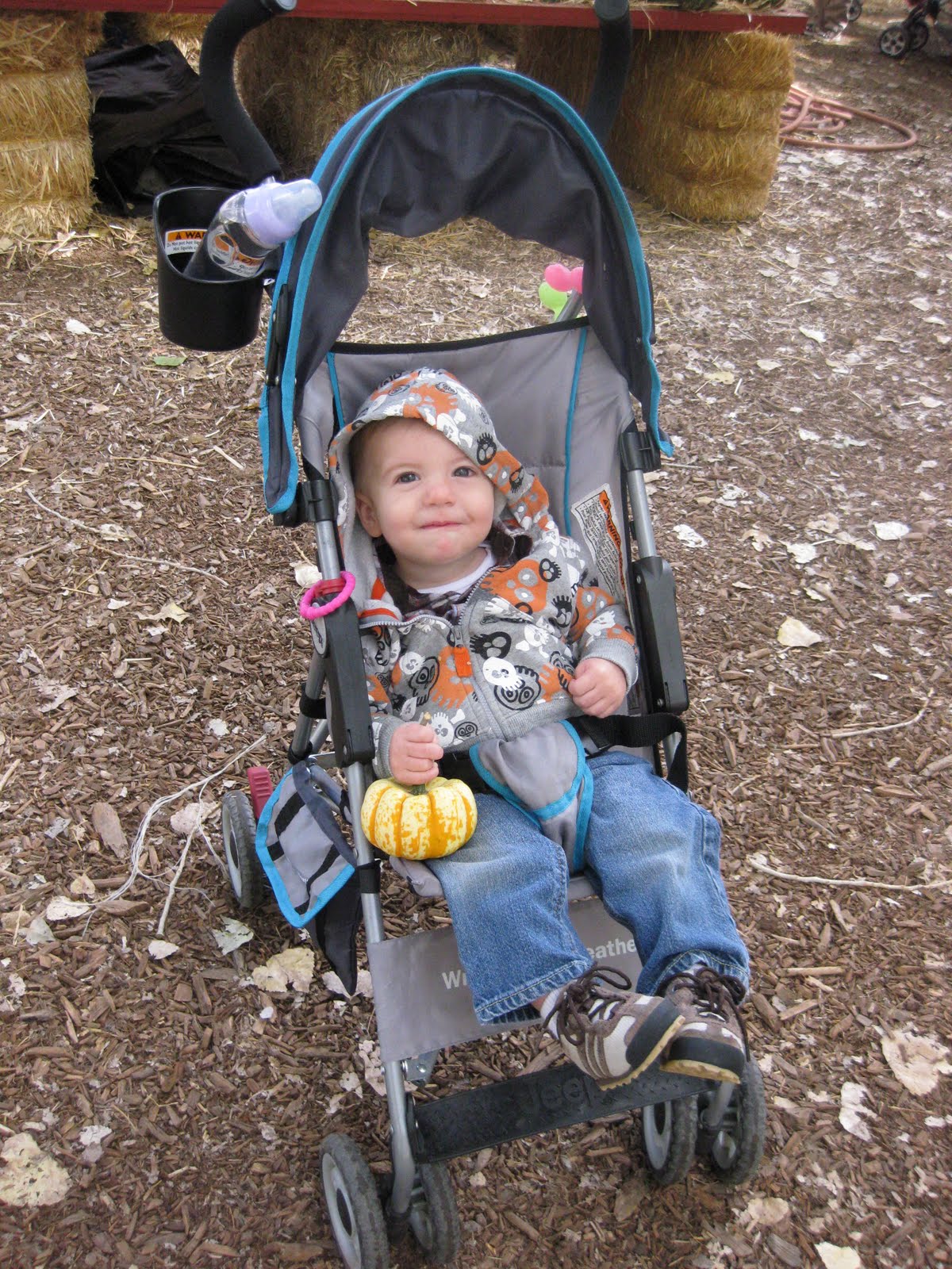 [IMG_1649.JPG]