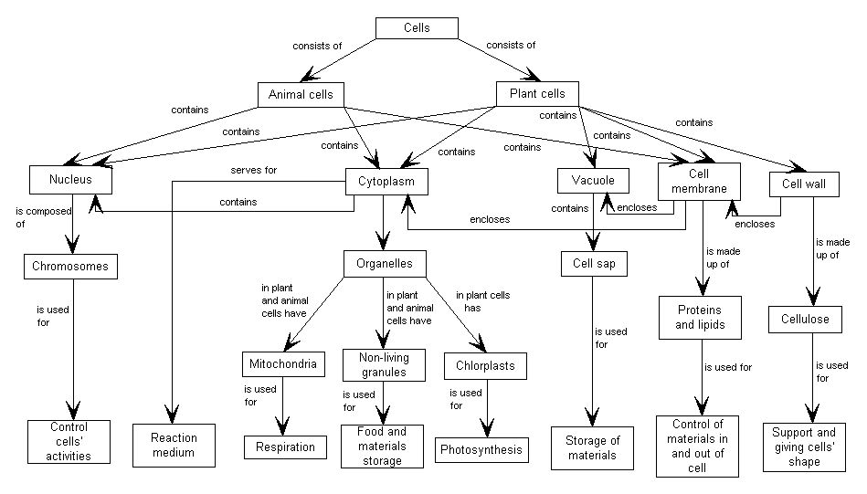 research question paper example viteee 2015