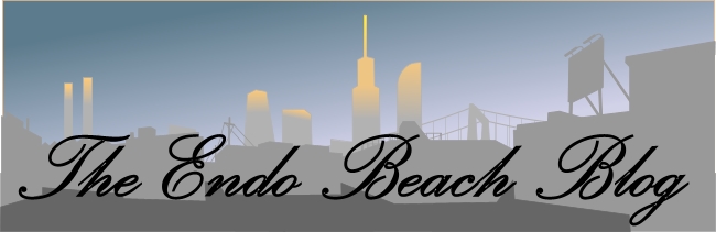 The Endo Beach Blog