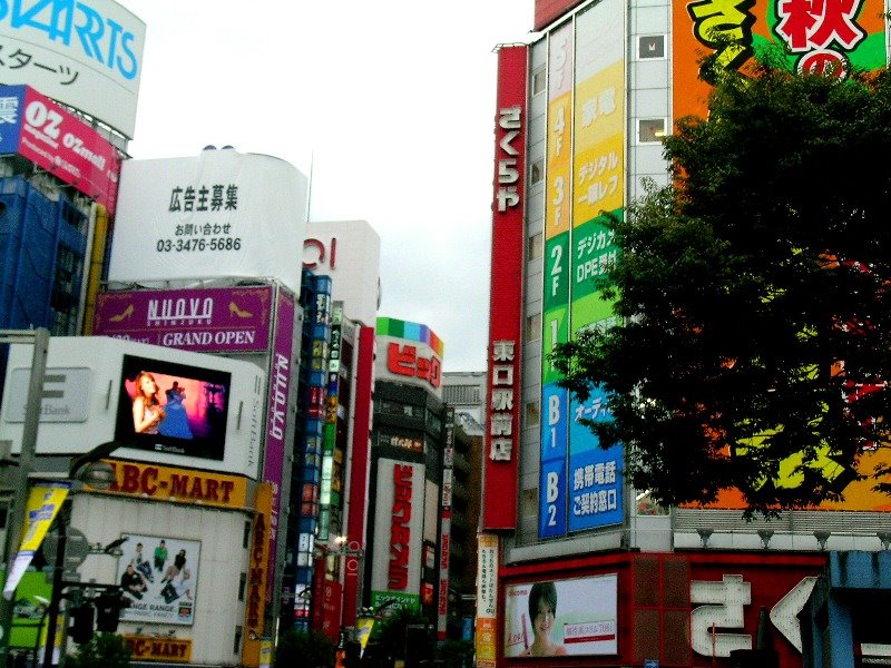 [shinjuku.JPG]