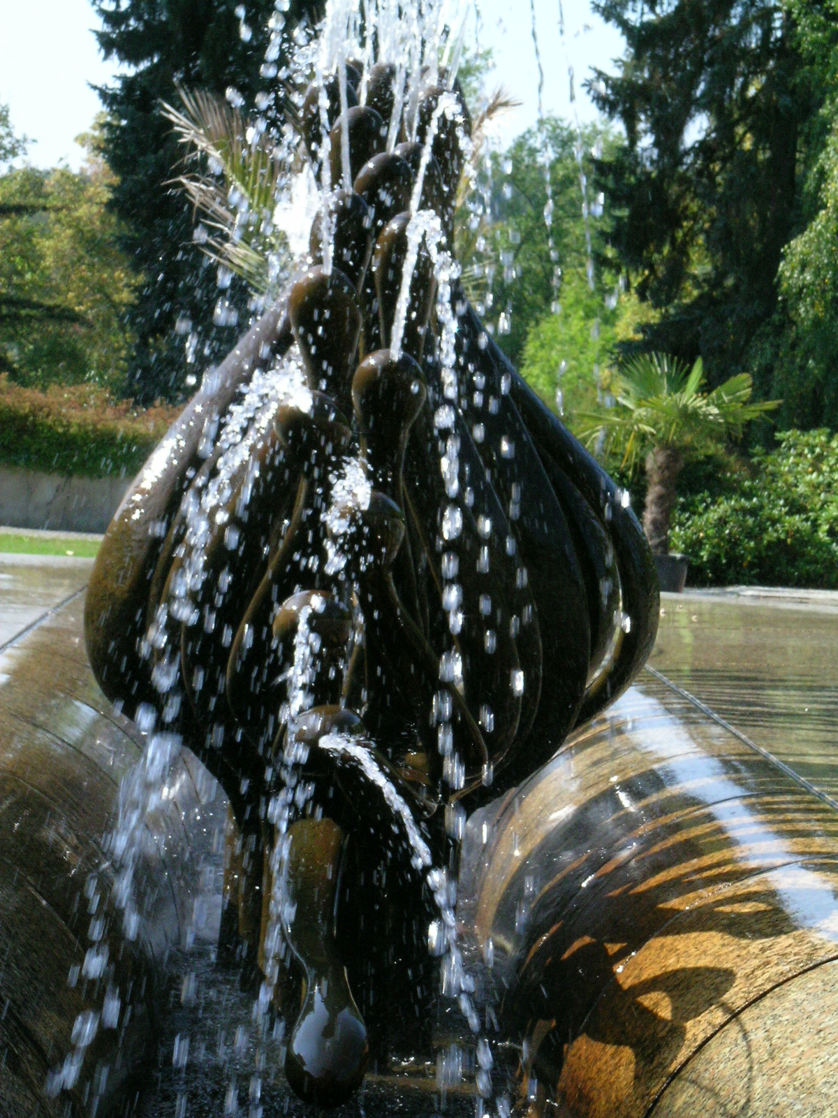 [DSCN4074.JPG]