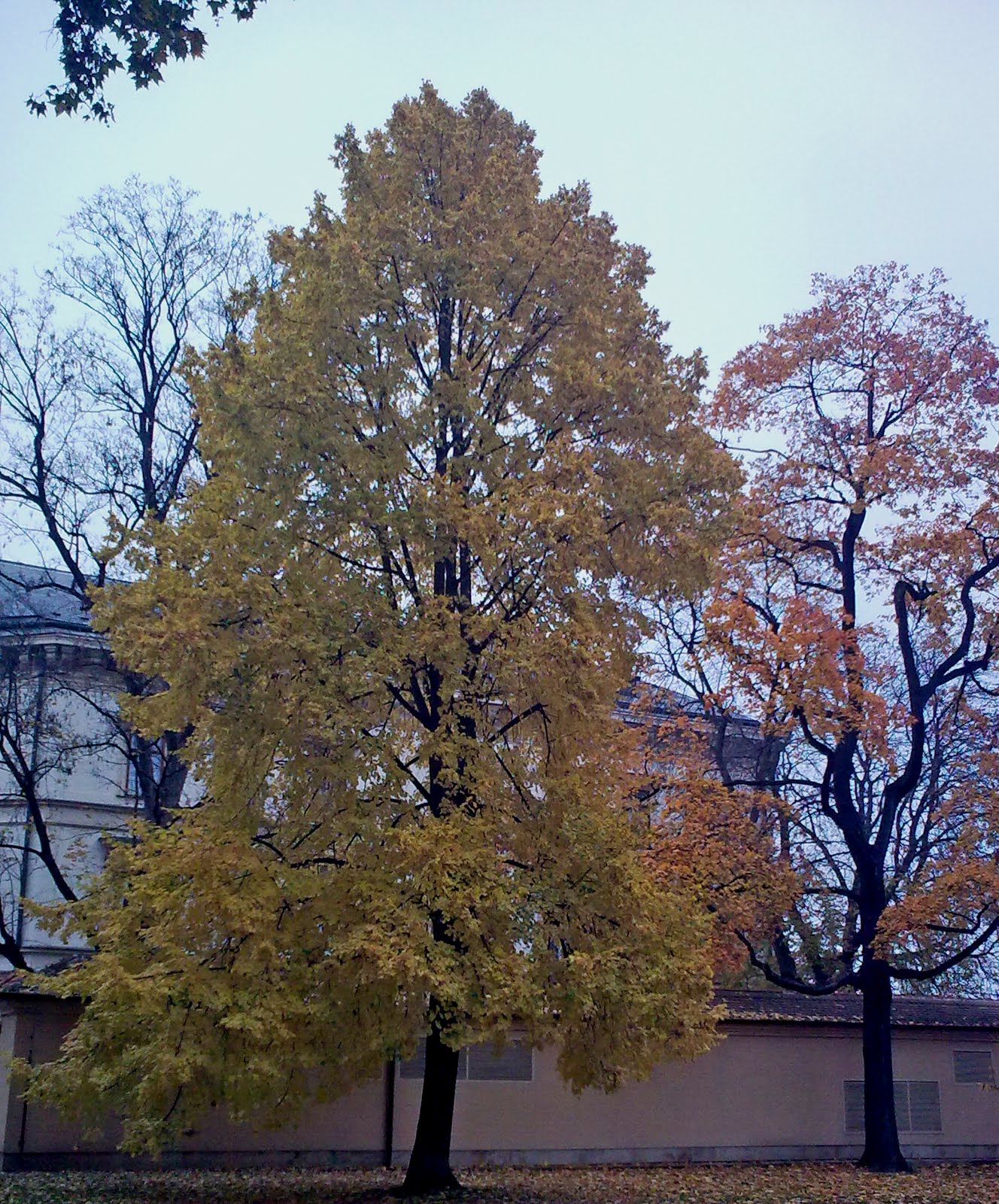 [Image0071.jpg]