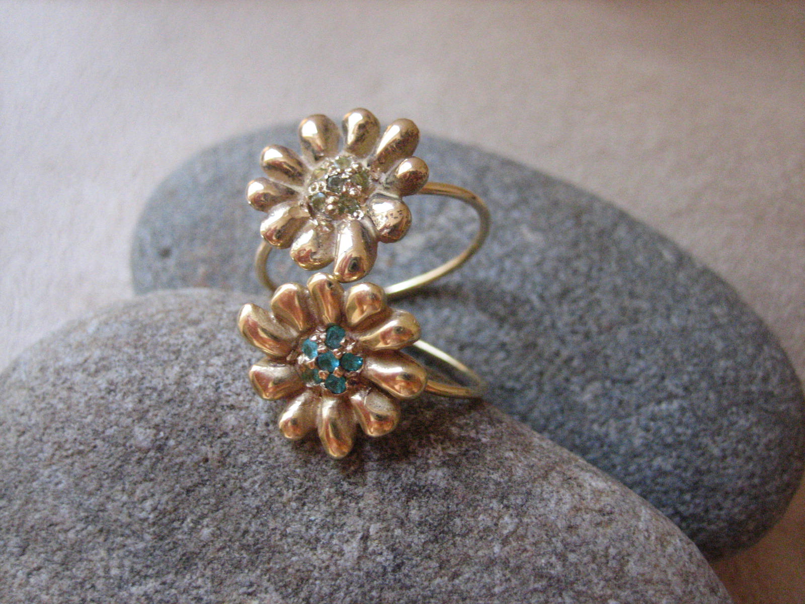 [ring+daisy+two.jpg]