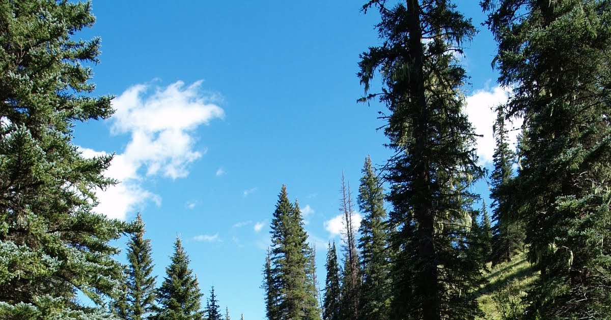 Arizona Hiking WEST FORK of the BLACK RIVER