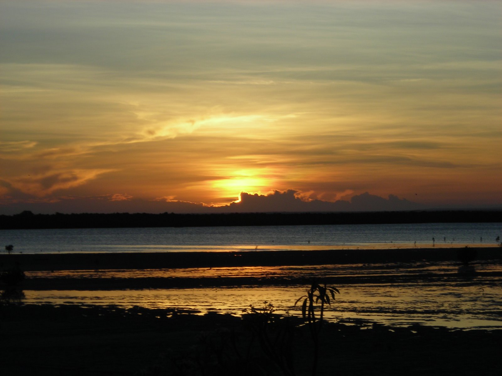 [DSCN2467.JPG]