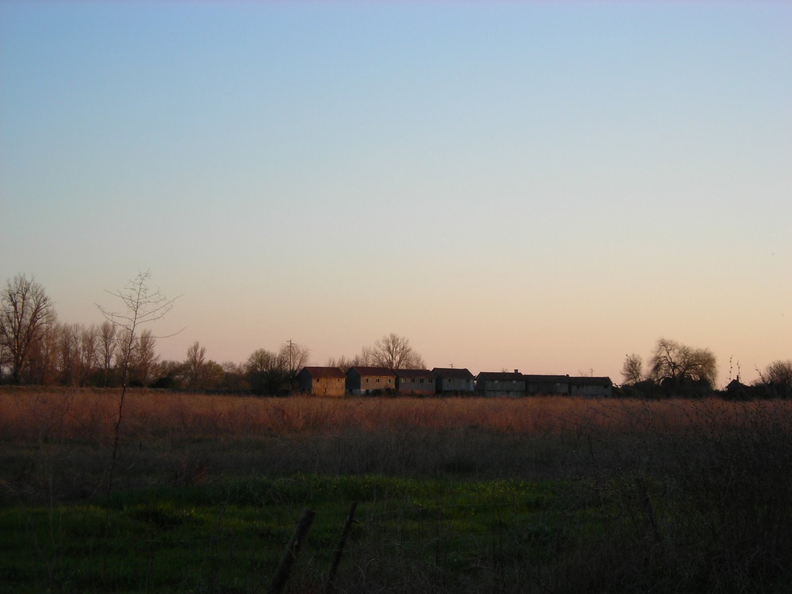 [DSCN5178.JPG]