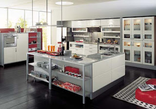 Kitchen Cabinets Designs for Professional Chef
