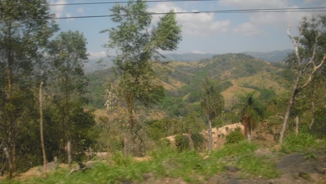 [CIMG0178.JPG]