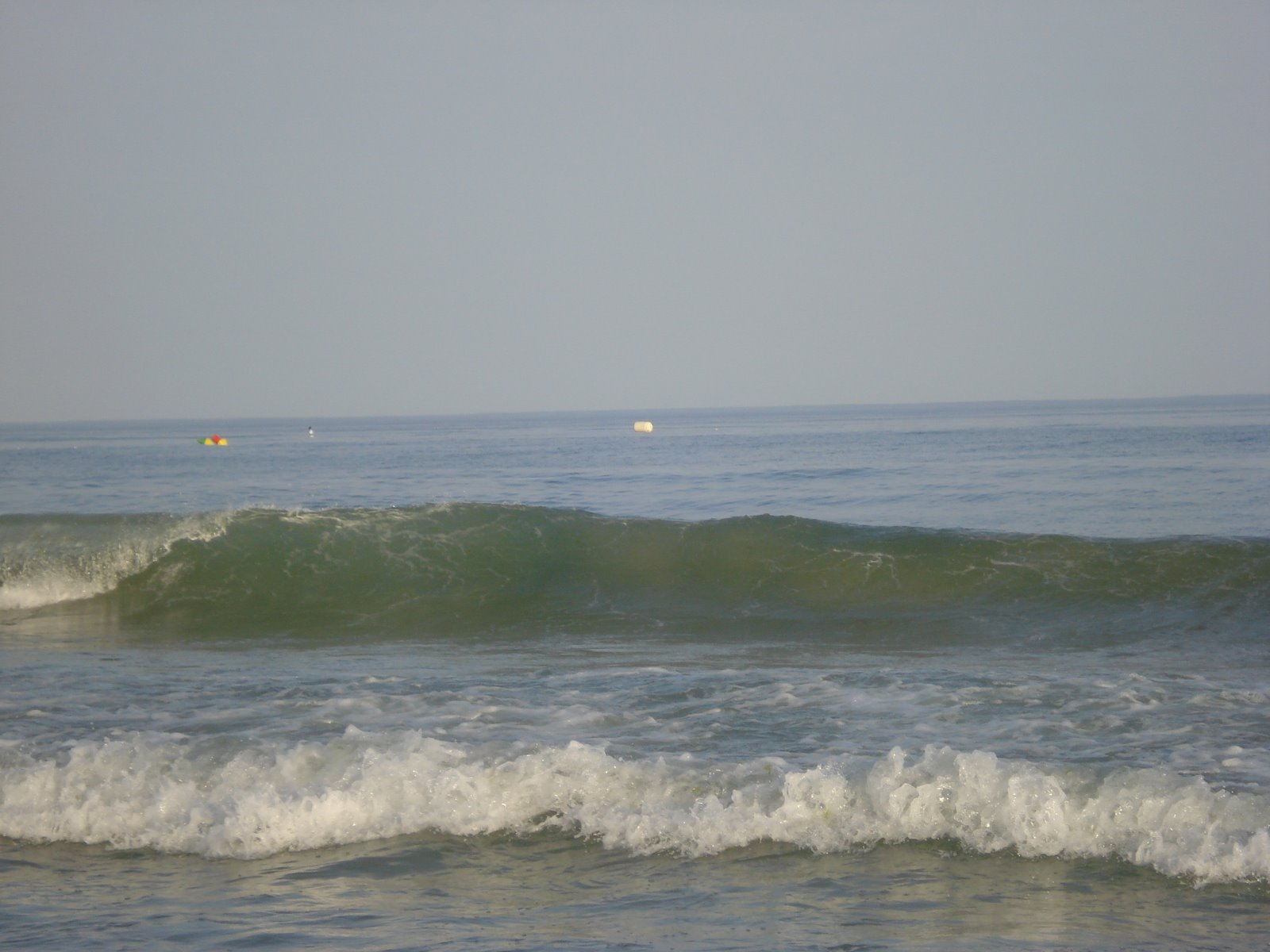 [20090614_50.JPG]