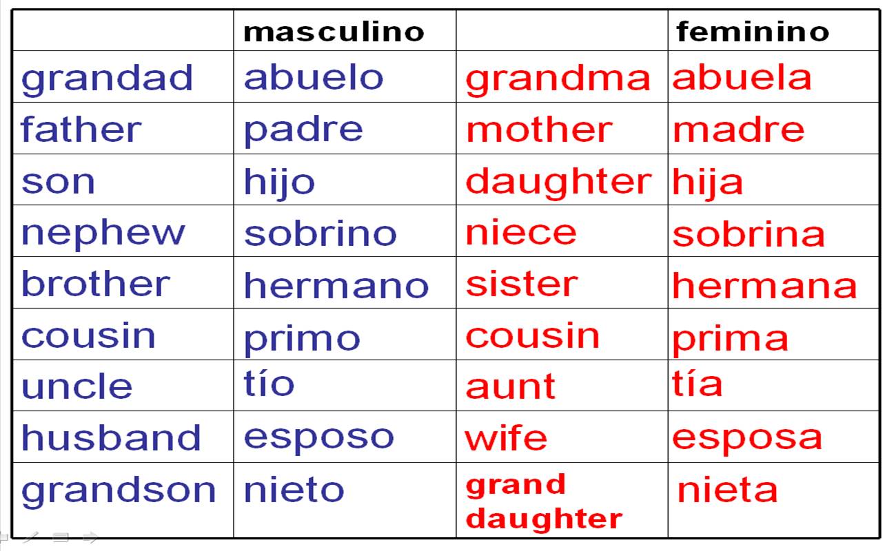 family vocabulary