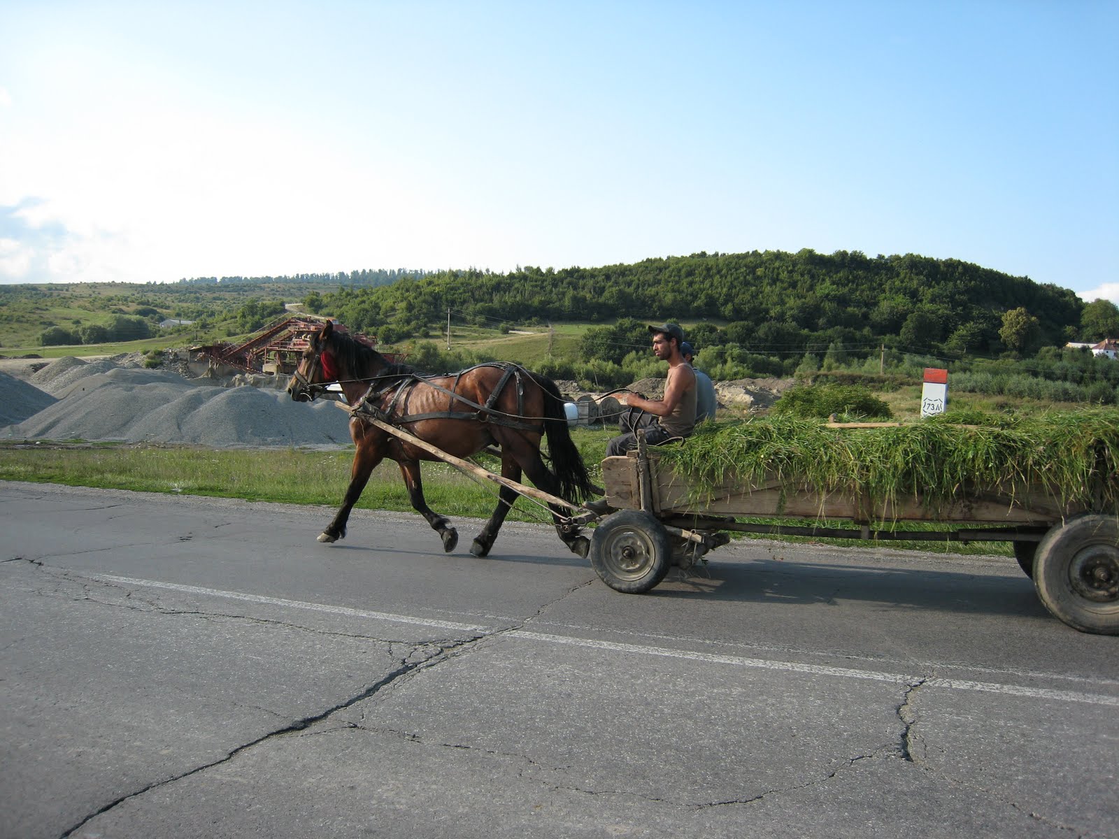 [IMG_1016.JPG]