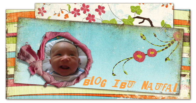 BLOG IBU NAUFAL