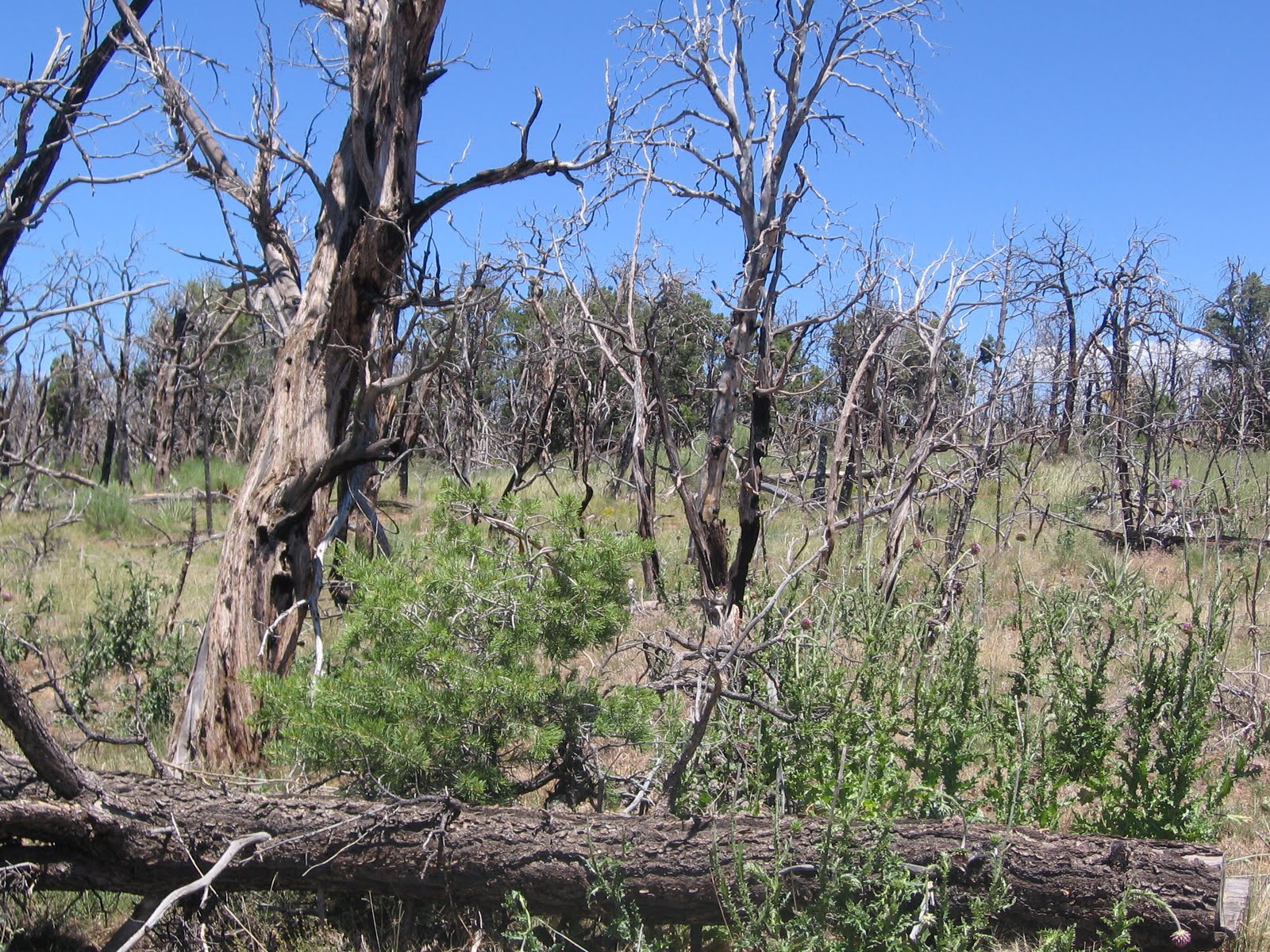 the Wetherill Mesa Kiosk