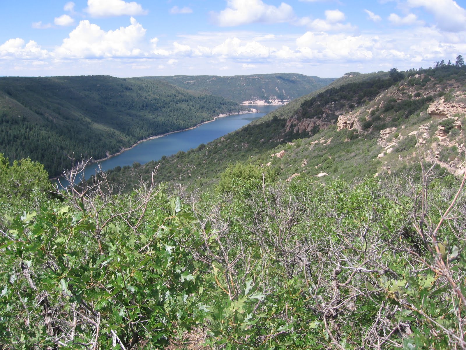 Four Corners HikesDolores River Valley Colorado Trimble Point on