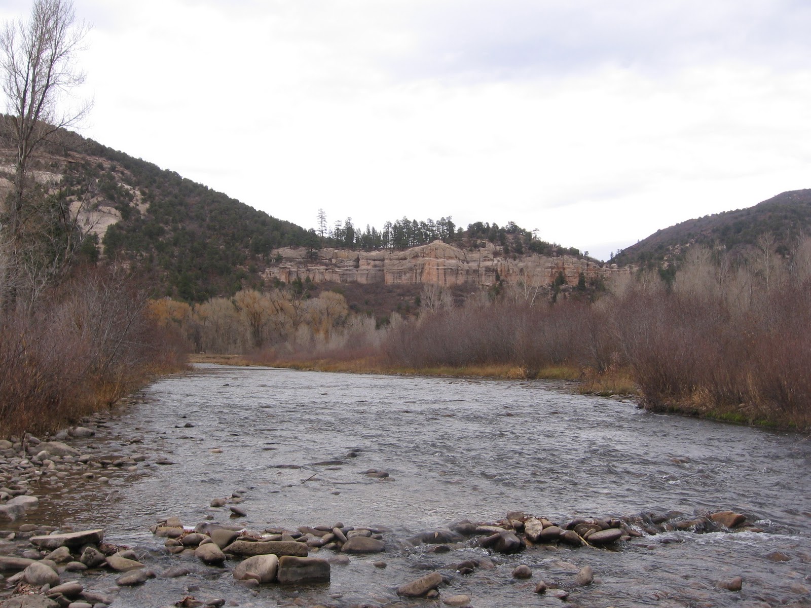 Four Corners HikesDolores River Valley Colorado Dolores RiverLone