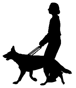 We had a great tour guide.