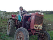 tracteur