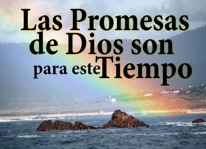 IMAGEN ISRAEL imagen israel:
