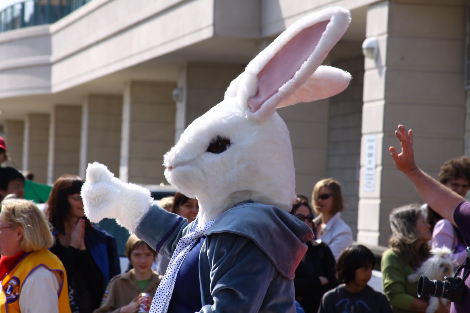 Peter's Photo Odyssey bunny, buynny and bunnies.. , Easter Parade