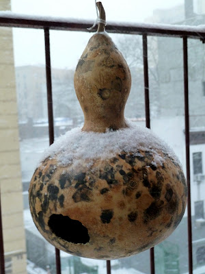 Snow collecting on a birdhouse gourd on a fire escape