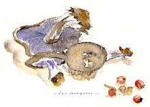Champignons et Baies