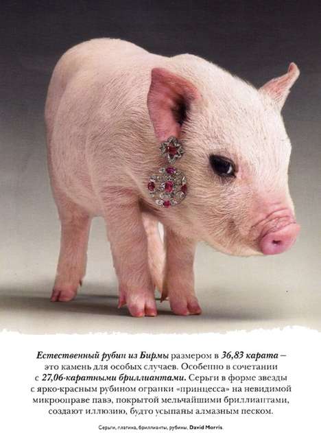 Pig Jewellery