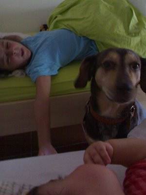[020820096072.jpg]