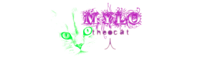 Mylo The Cat