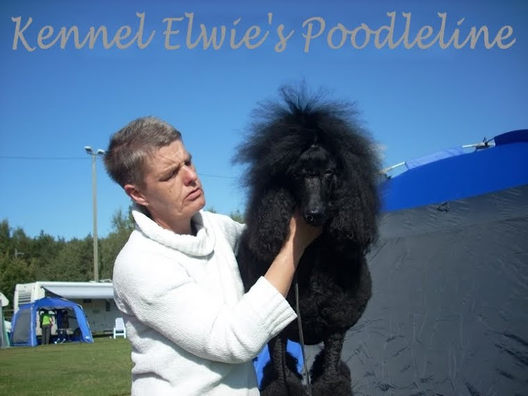 Kennel Elwie's Poodleline