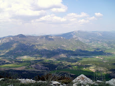 Site d\