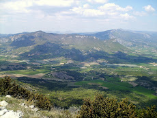 Site d\