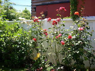 Almohadillas Terapéuticas: Jardín de Rosas