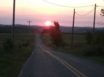 Long  and winding road home