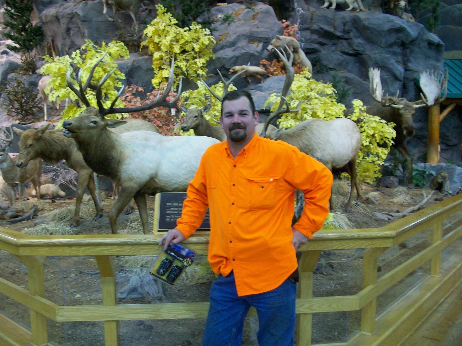 [SD+deer+08+050.JPG]