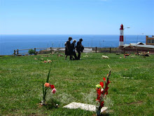Cementerio 3 Playa Ancha