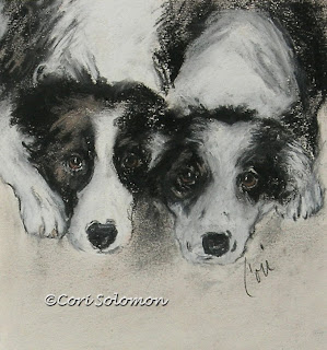 Border Collie - On The Border By Cori Solomon